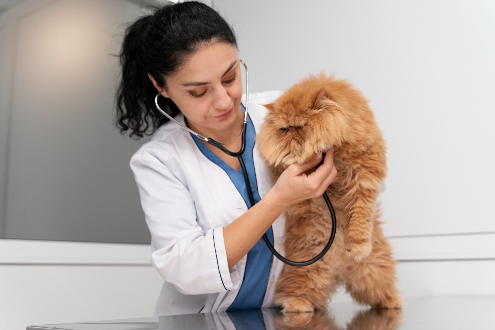Veterinary Services